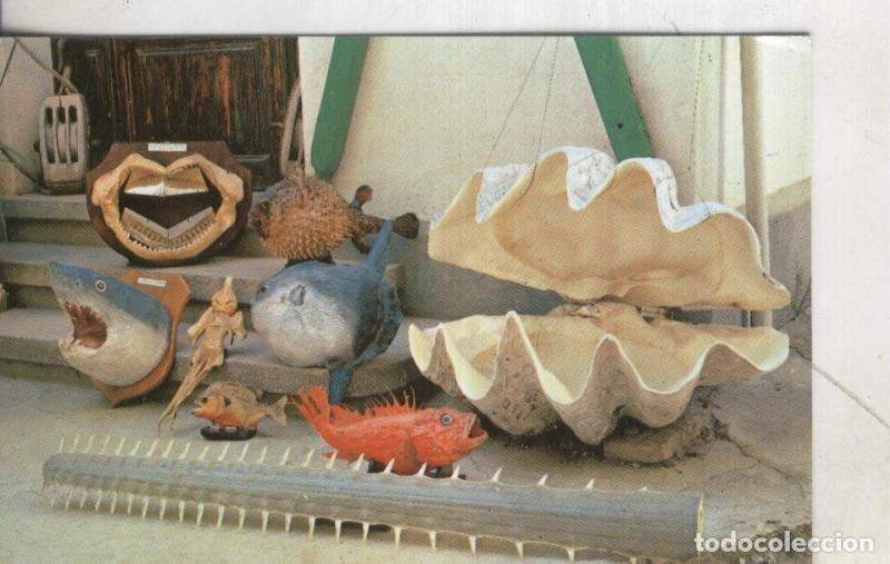 Cartoline: Postal 003962 : Museo de curiosidades marineras Roig Toques en Vilanova - Varios