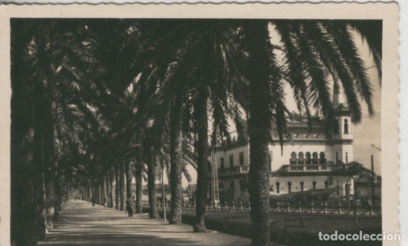 Postkarten: Postal 009577: Explanada de Espa&ntilde;a de Alicante - Varios