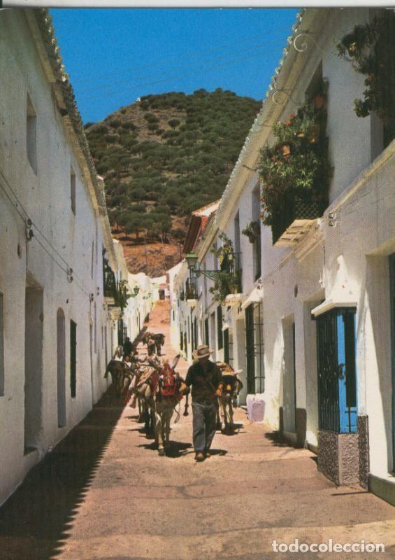 Postkarten: Postal 009948: Burritos tipicos de Mijas en Malaga - Varios