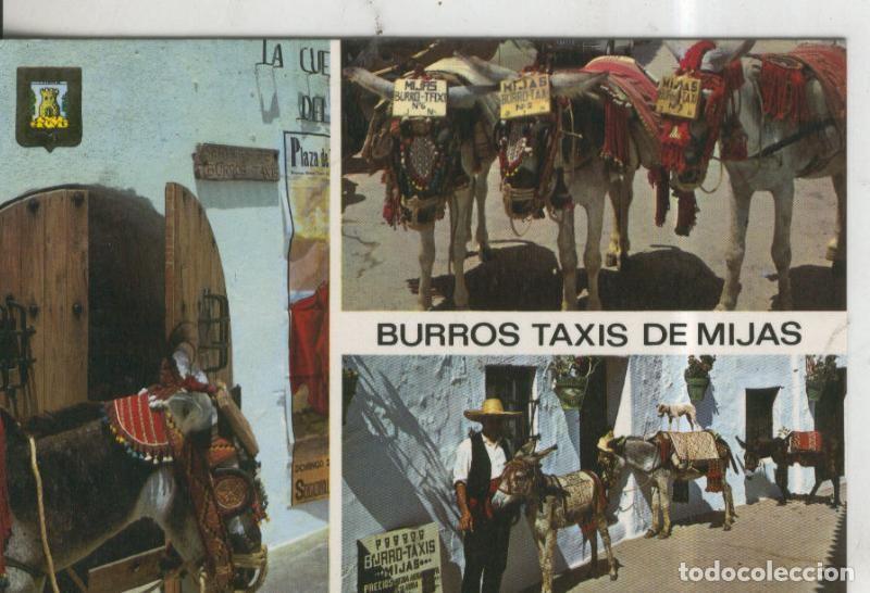 Postcards: Postal 010423: Parada de Burro Taxi de Mijas en Malaga - Varios