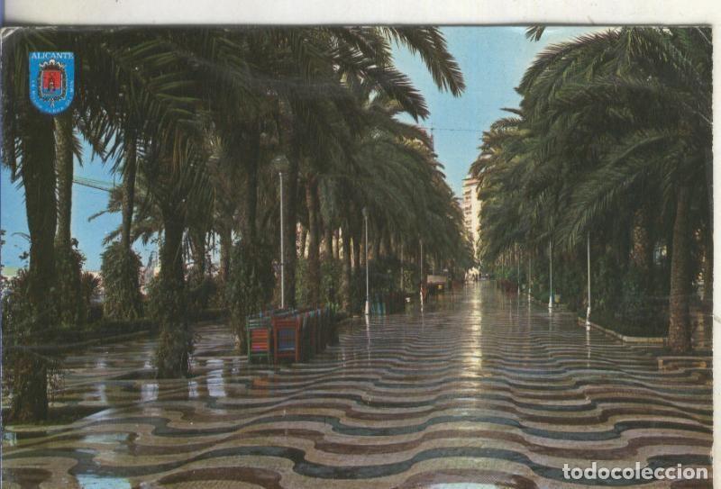 Postcards: Postal 005936 : Explanada de Espa&ntilde;a, alicante - Varios