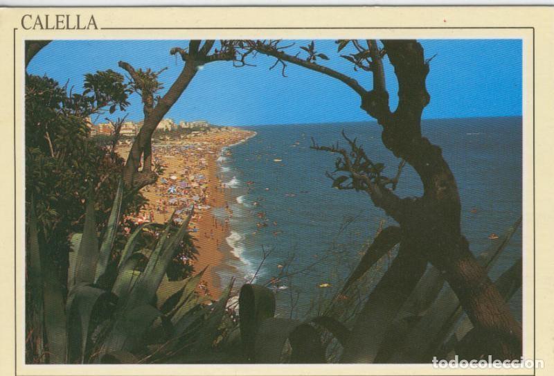 Postkarten: Postal 006817: Calella: vista general de la playa - Varios