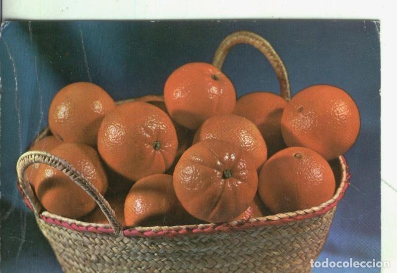 Postales: Postal 004402 : Valencia: Naranjas - Varios - Foto 1