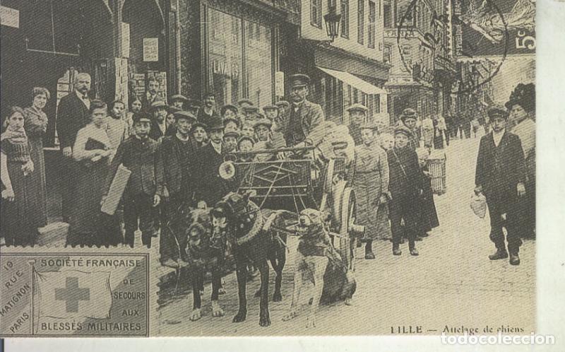 Postales: Postal 011133: Lille, attelage de chiens - Varios