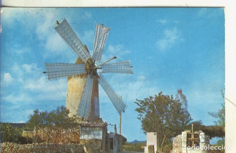 Postais: Postal 005041 : Molino en Manacor - Varios