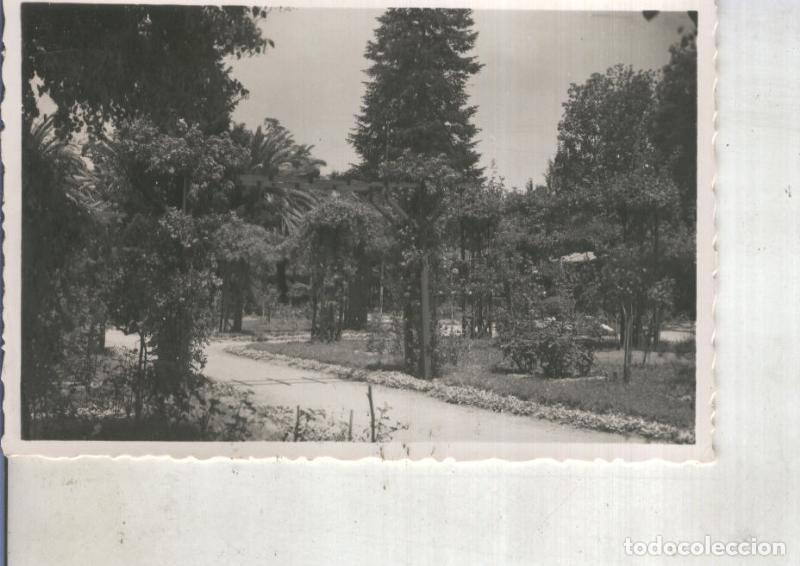 Postcards: Postal 014067: Jardines del Posio en Orense - Varios