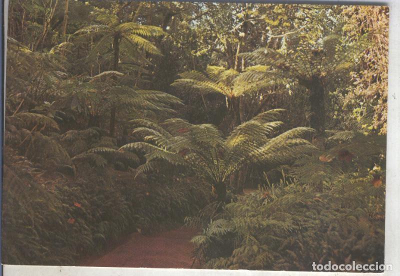 Postcards: Postal 014147: Jardin en Sintra, Portugal - Varios