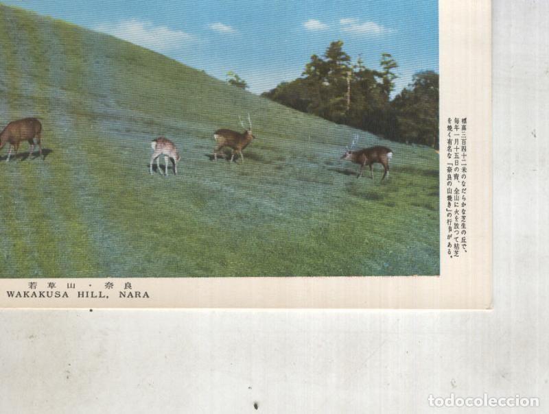 Postkarten: Postal 014437: Wakakusa Hill, Nara - Varios