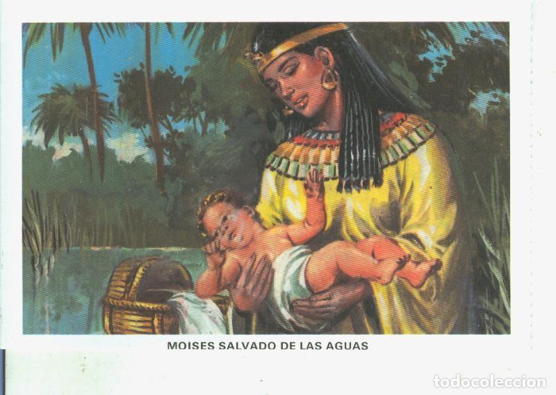 Postcards: Postal 014528: La Biblia: Moises salvado de las aguas - Varios