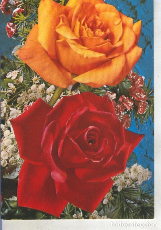 Postales: Postal 015279: Rosas - Varios - Foto 1