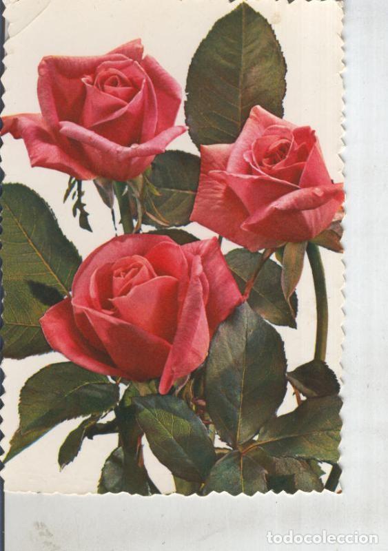 Postales: Postal 016144: Rosas - Varios - Foto 1