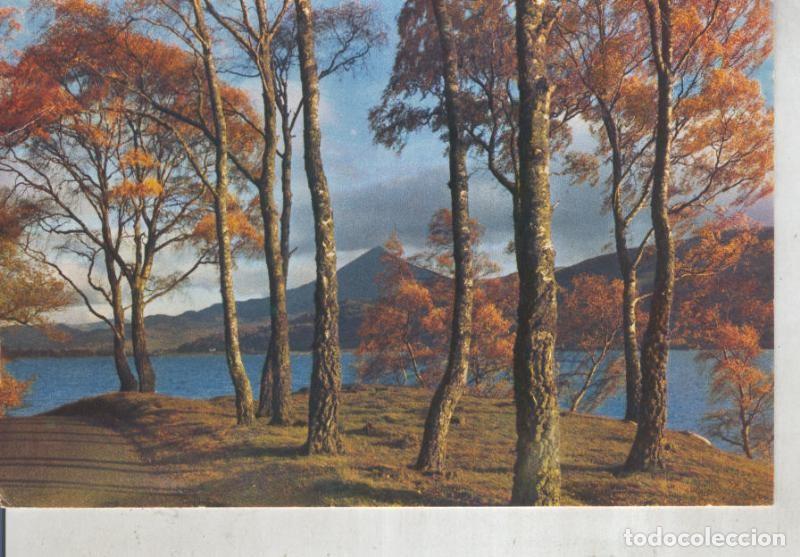 Postkarten: Postal 015831: The shores of Loch Rannoch, Perthshire, Scotland - Varios
