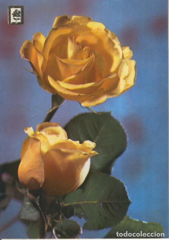 Postales: Postal 016157: Rosas - Varios - Foto 1