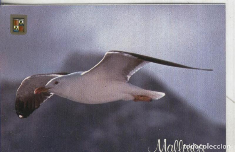 Postales: Postal 003240: Mallorca: propaganda - Varios - Foto 1