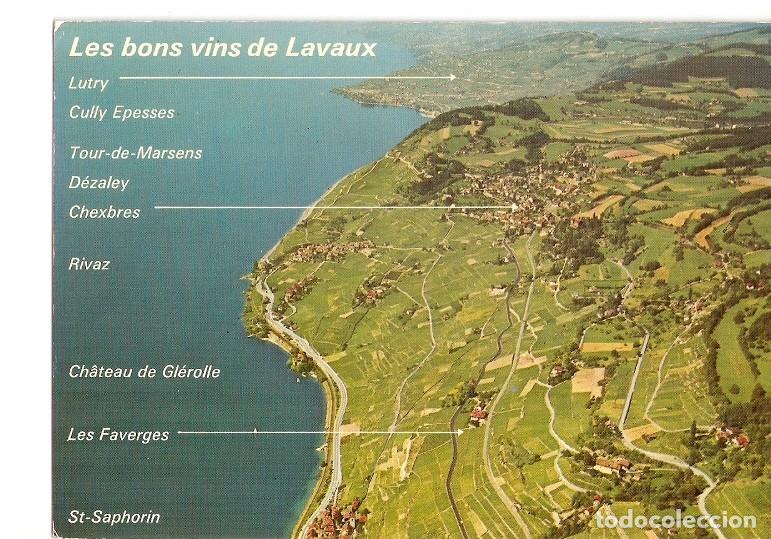 Postais: Postal 021160 : Les coteaux de Lavaux entre Lausanne et Vevey - Suisse - Varios