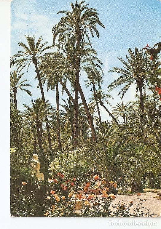 Cartoline: Postal 022413 : Parque Municipa, detalle del jardin, Elche - Varios