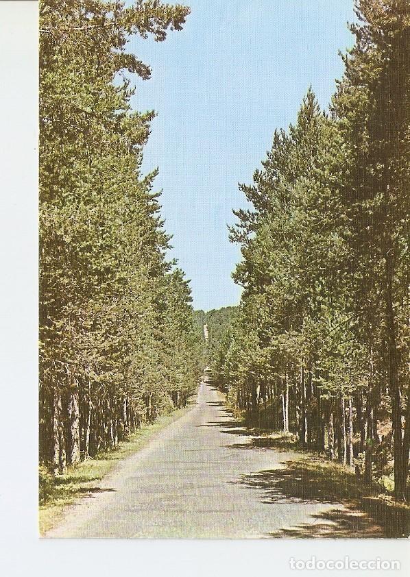 Postkarten: Postal 022878 : Orihuela del Tremedal (Teruel), Recta del Puerto - Varios