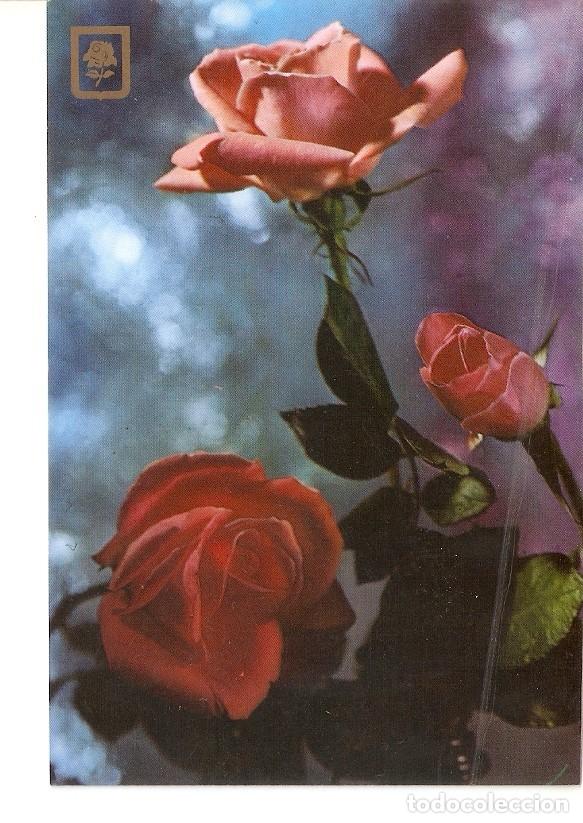 Postales: Postal 023352 : Rosas - Varios - Foto 1