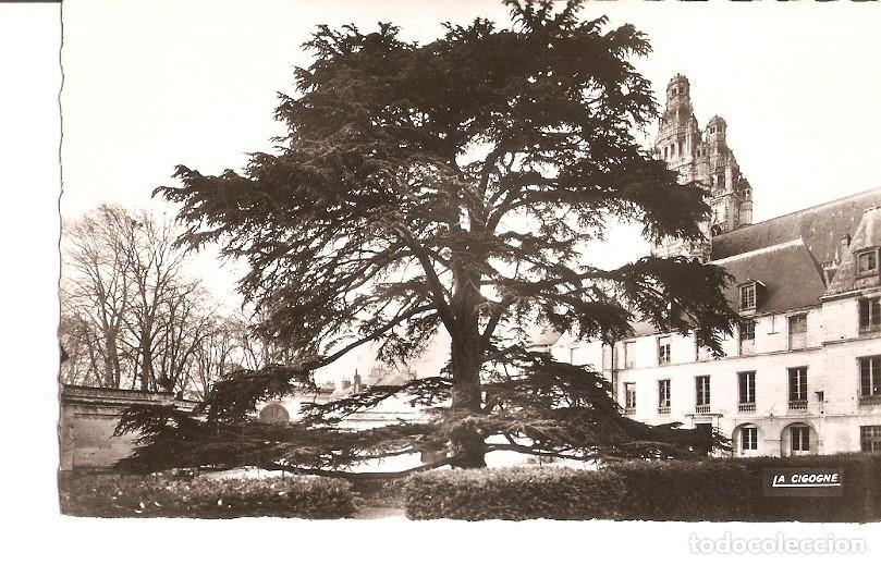 Postales: Postal 027014 : Tours, Le Musee et le Cedre - Varios