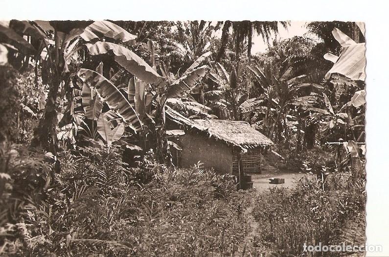 Postkarten: Postal 026989 : Une Case de Brousse, Abidjan - Varios