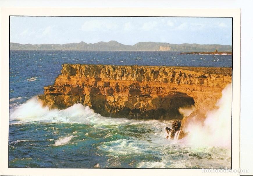 Postkarten: Postal 027580 : Serie Ibiza/Formentera, Punta Rasa - Varios