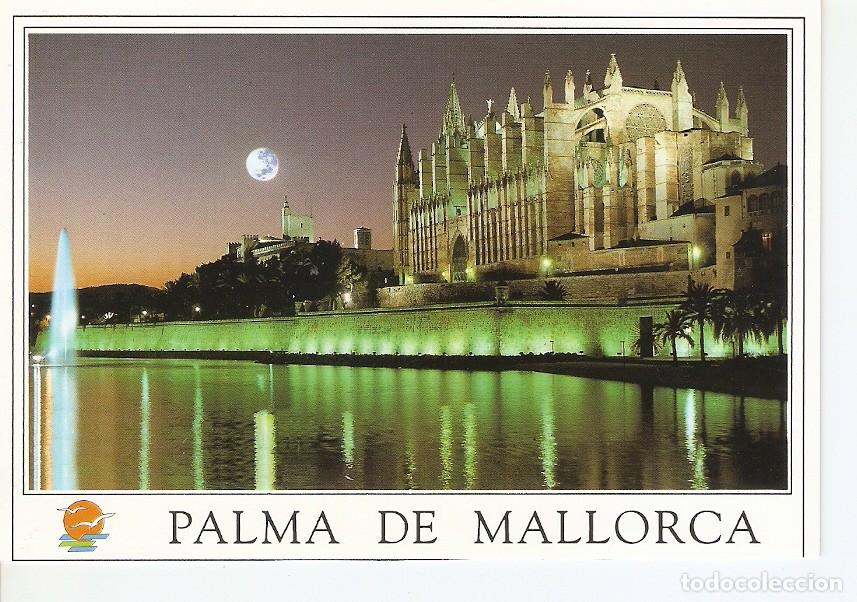 Cartoline: Postal 027783 : Palma de Mallorca, Catedral y Par de la Mar - Varios