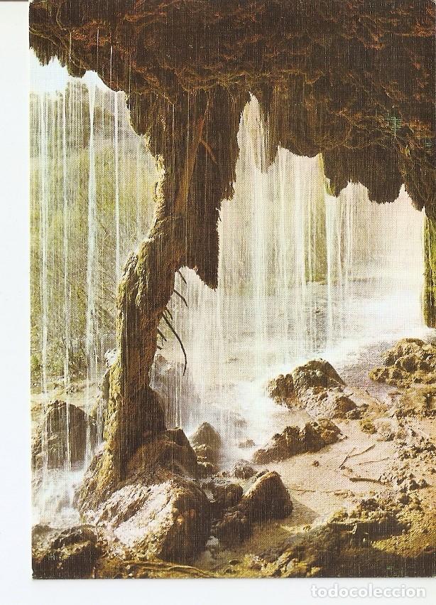 Postais: Postal 027546 : Nacimiento del Rio Cuervo y Pino Fosilizado (Columna de la Cueva). Cuenca - Varios