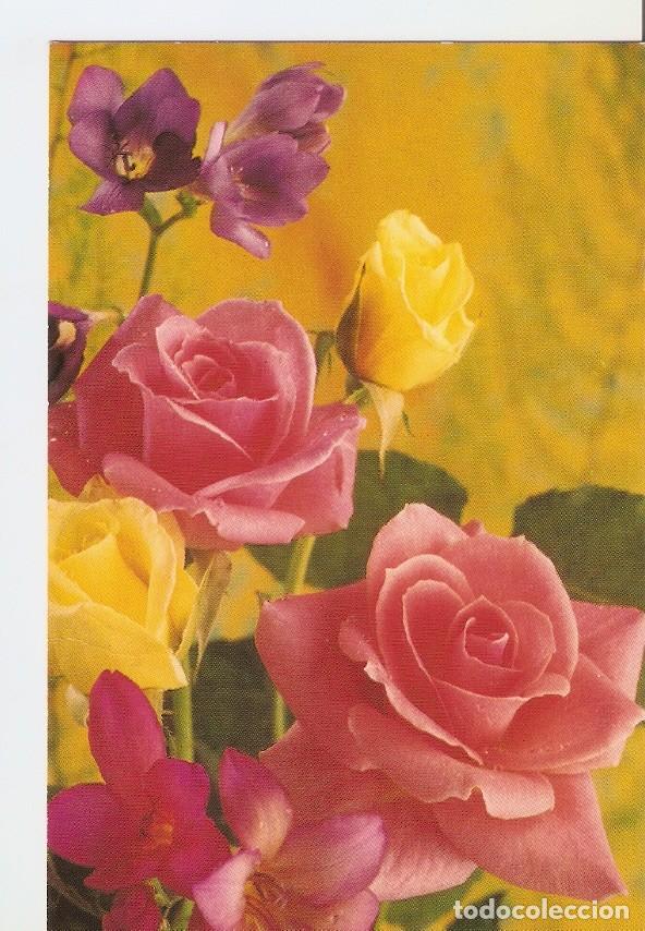 Postcards: Postal 028191 : Flores - Varios