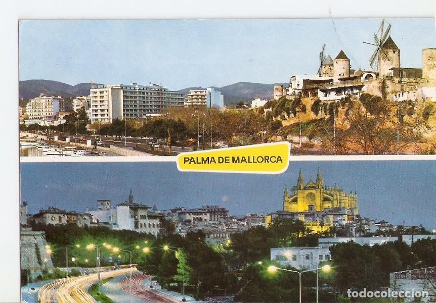 Cartoline: Postal 028521 : Palma de Mallorca, Molinos del Paseo Maritimo y la Catedral - Varios