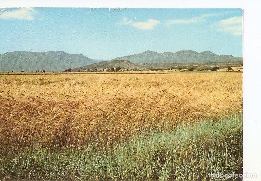 Postkarten: Postal 028261 : Campo de Cereales Yebera (Huesca) - Varios