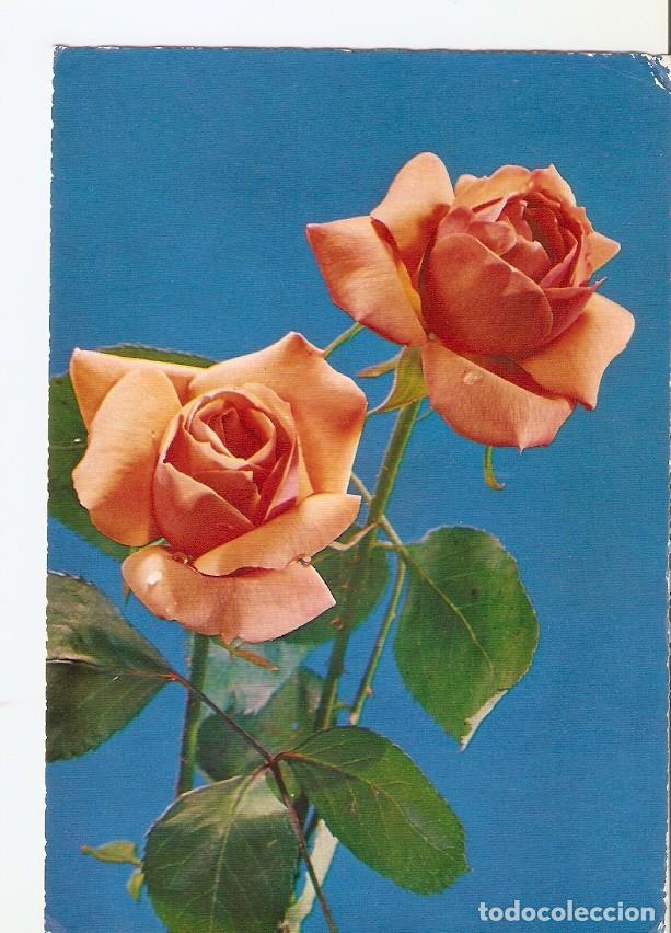 Postales: Postal 028500 : Rosas - Varios - Foto 1