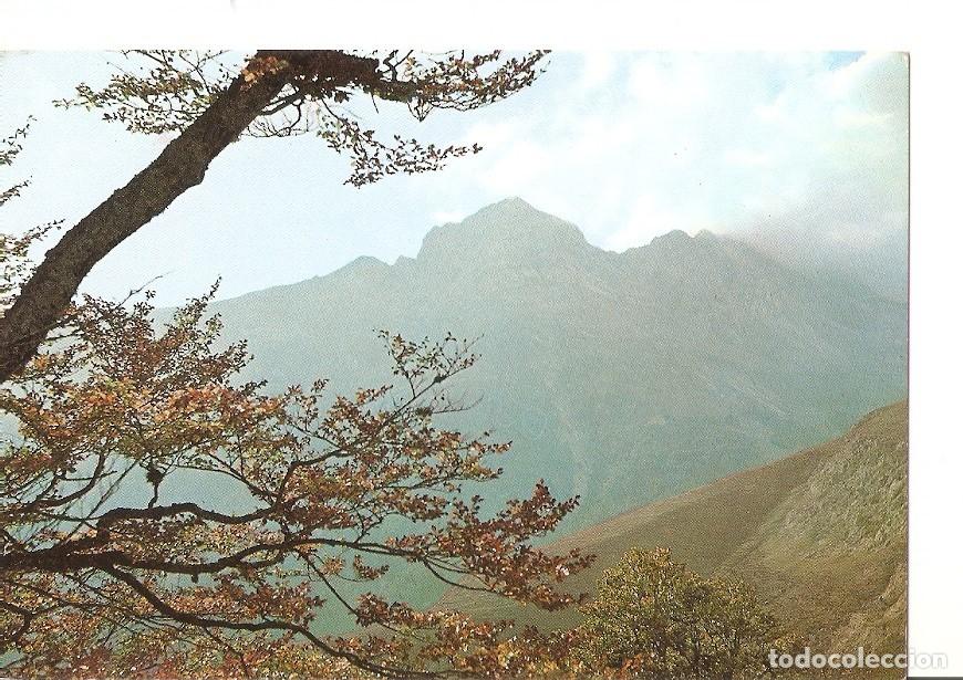 Postales: Postal 028635 : Pirineo Navarro. Isaba. Valle del Roncal, pico de la Corchela-Belagua - Varios