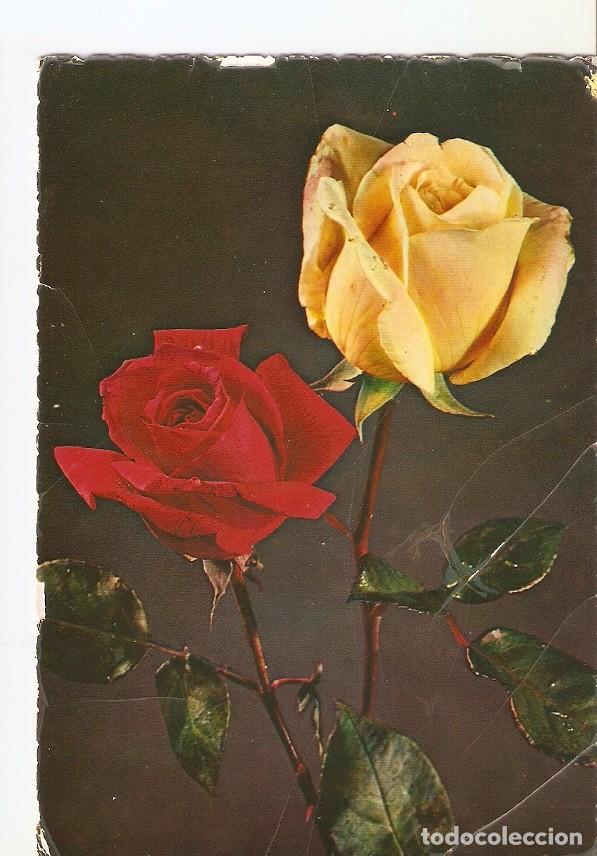 Postales: Postal 028716 : Rosas - Varios