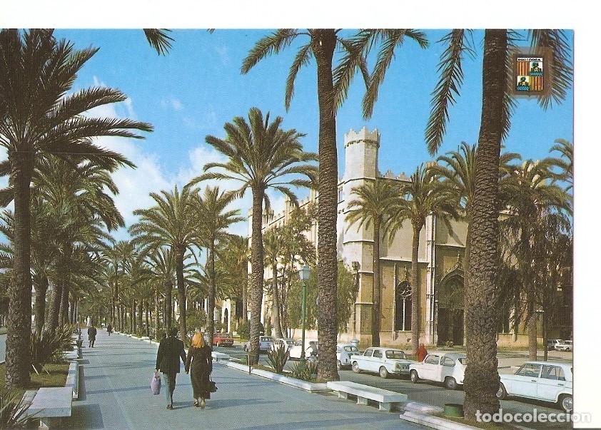 Cartoline: Postal 028764 : Paseo Sagreta. Mallorca. Palma - Varios