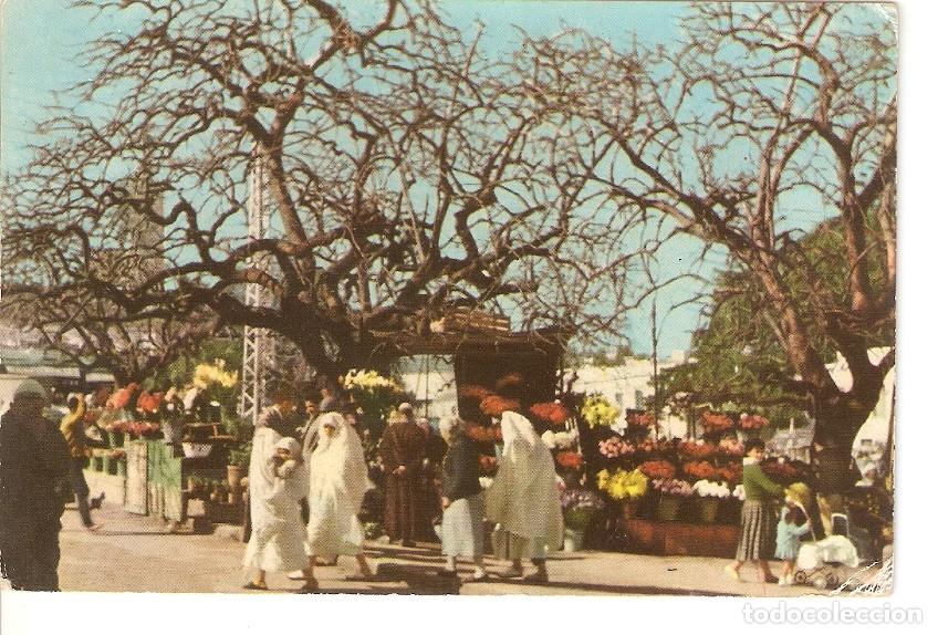 Postkarten: Postal 029304 : Tanger, Mercado de Flores. Zoco Grande - Varios