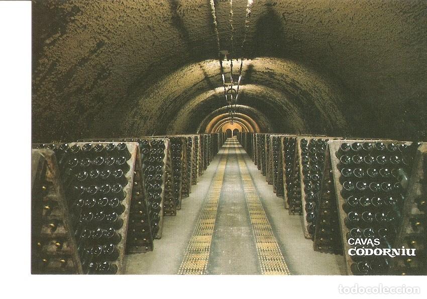Postales: Postal 023832 : Botellas en pupitre. Cavas Codorniu - Varios