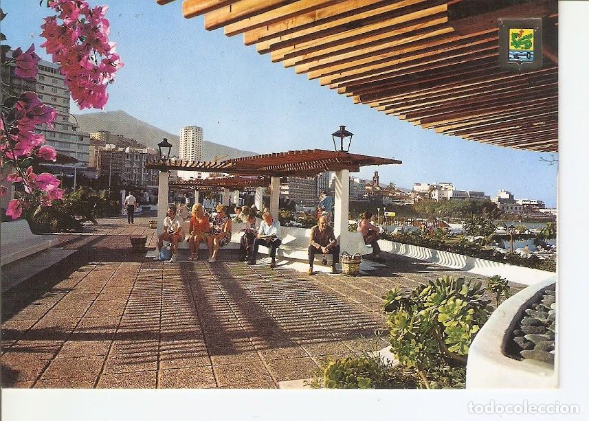 Cartoline: Postal 023719 : Puerto de la Cruz (Tenerife) Paseo de la Avenida de Colon - Varios