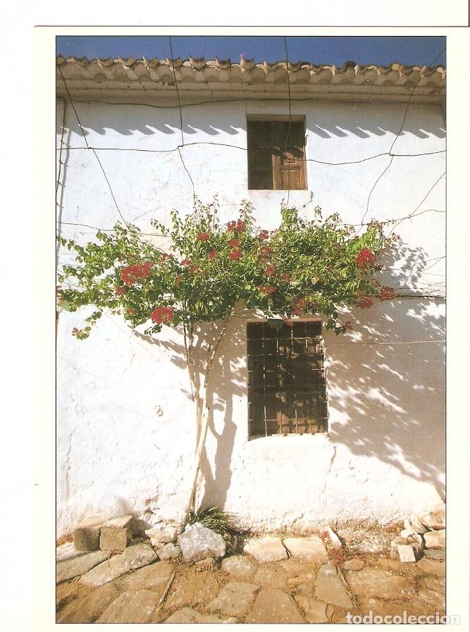Postkarten: Postal 024283 : Mediterrania - Varios