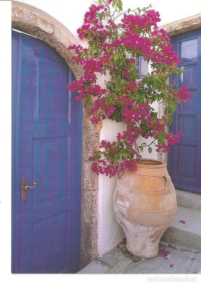 Postales: Postal 024851 : Greece - Varios - Foto 1