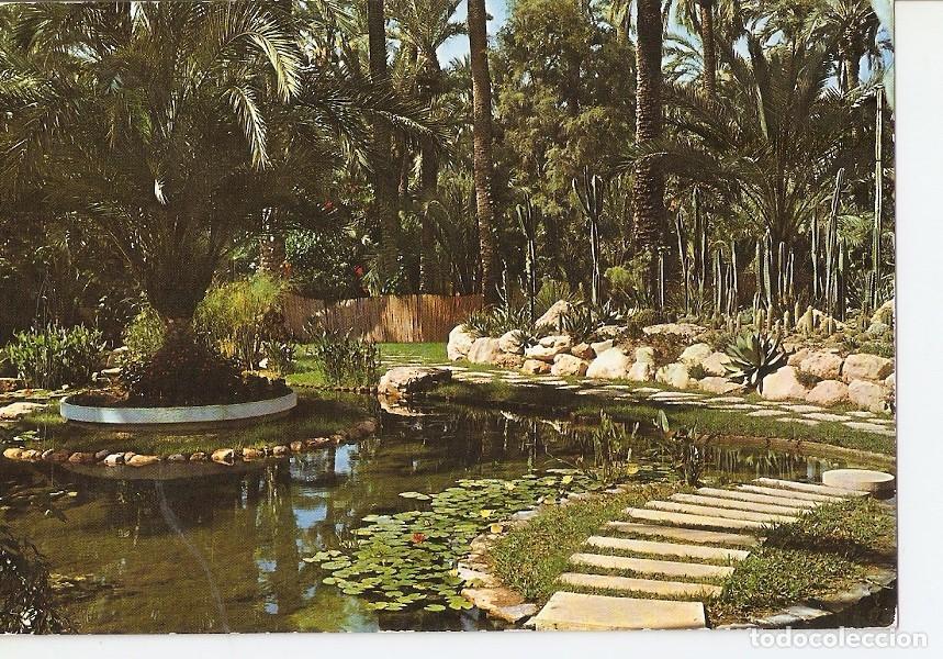 Postkarten: Postal 024983 : Huerta del Cura. Lago de Rocalla. Elche - Varios