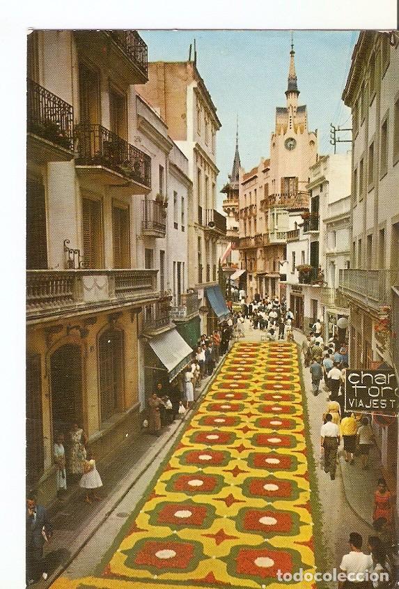 Cartes Postales: Postal 029480 : Sitges - Calle Paralladas durante el Corpus - Varios