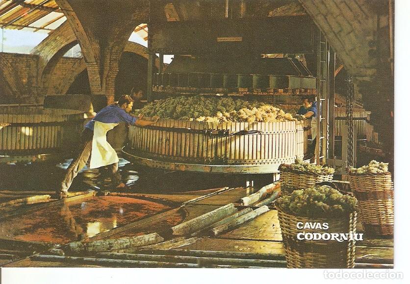 Postales: Postal 030376 : Cavas Codorniu. Prensado de la uva - Varios