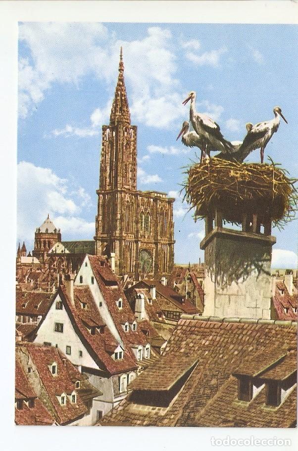 Postkarten: Postal 030075 : Strasbourg (Bas-Rhin) Les Cigognes - Varios