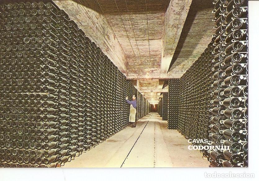 Postales: Postal 030378 : Cavas Codorniu. Botellas envejeciendo - Varios