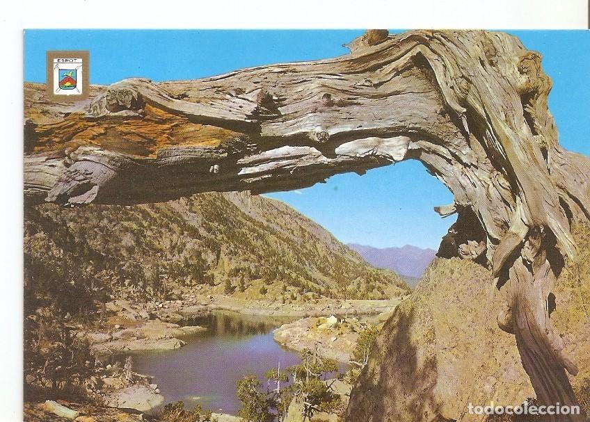 Postais: Postal 031738 : Pirineu Catala (Lleida). Regio despot. Lago Tor Trullo - Varios