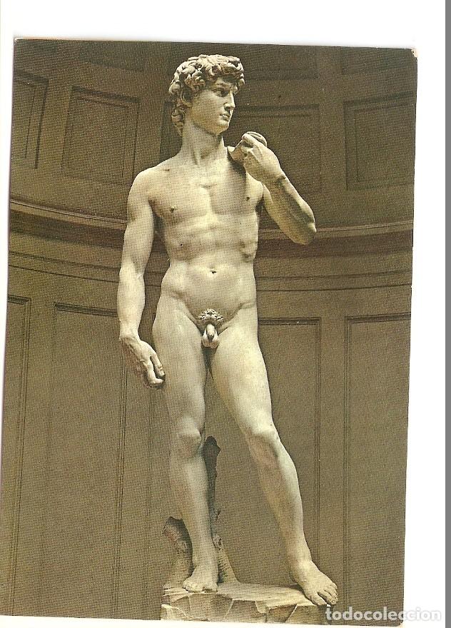 Cartes Postales: Postal 035076 : Firenze. The Accademia Gallery - The David of Michelangelo - Varios