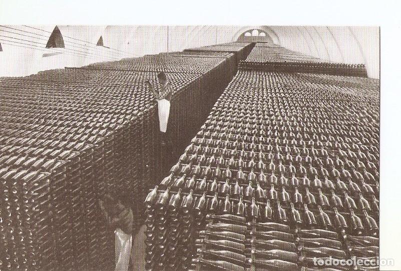 Postales: Postal 035811 : Casa Codorniu - San sadurni de Noya (Espa&ntilde;a). Una bodega en invierno - Varios