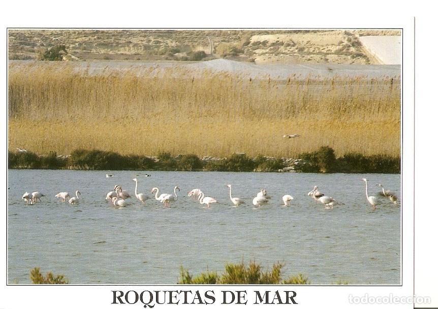 Postkarten: Postal 039196 : Roquetas de Mar. Parque Natural Sabinar. Flamencos - Varios