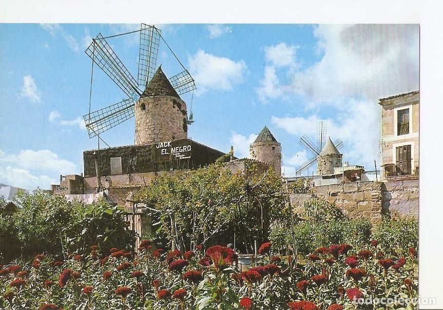 Postkarten: Postal 040373 : Palma Mallorca. Molino Jack el Negro - Varios