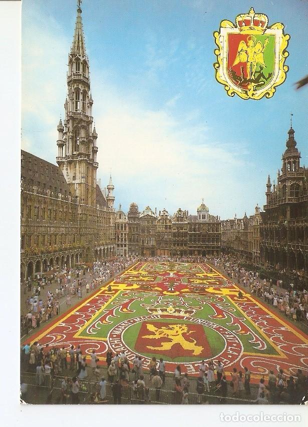 Postcards: Postal 040908 : Brussel. Market Place Flower Carpet - Varios